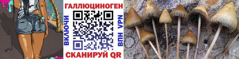 Галлюциногенные грибы GOLDEN TEACHER  Купить закладки  Уфа 